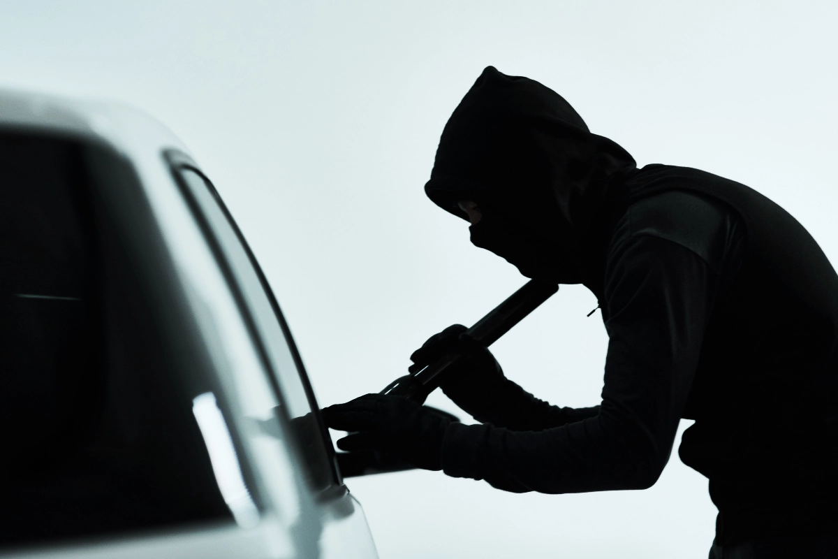 violencia, seguridad, crimen, delito