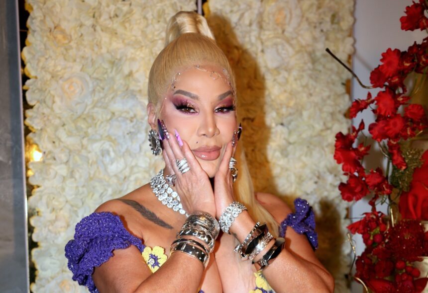 Ivy Queen, música, gira