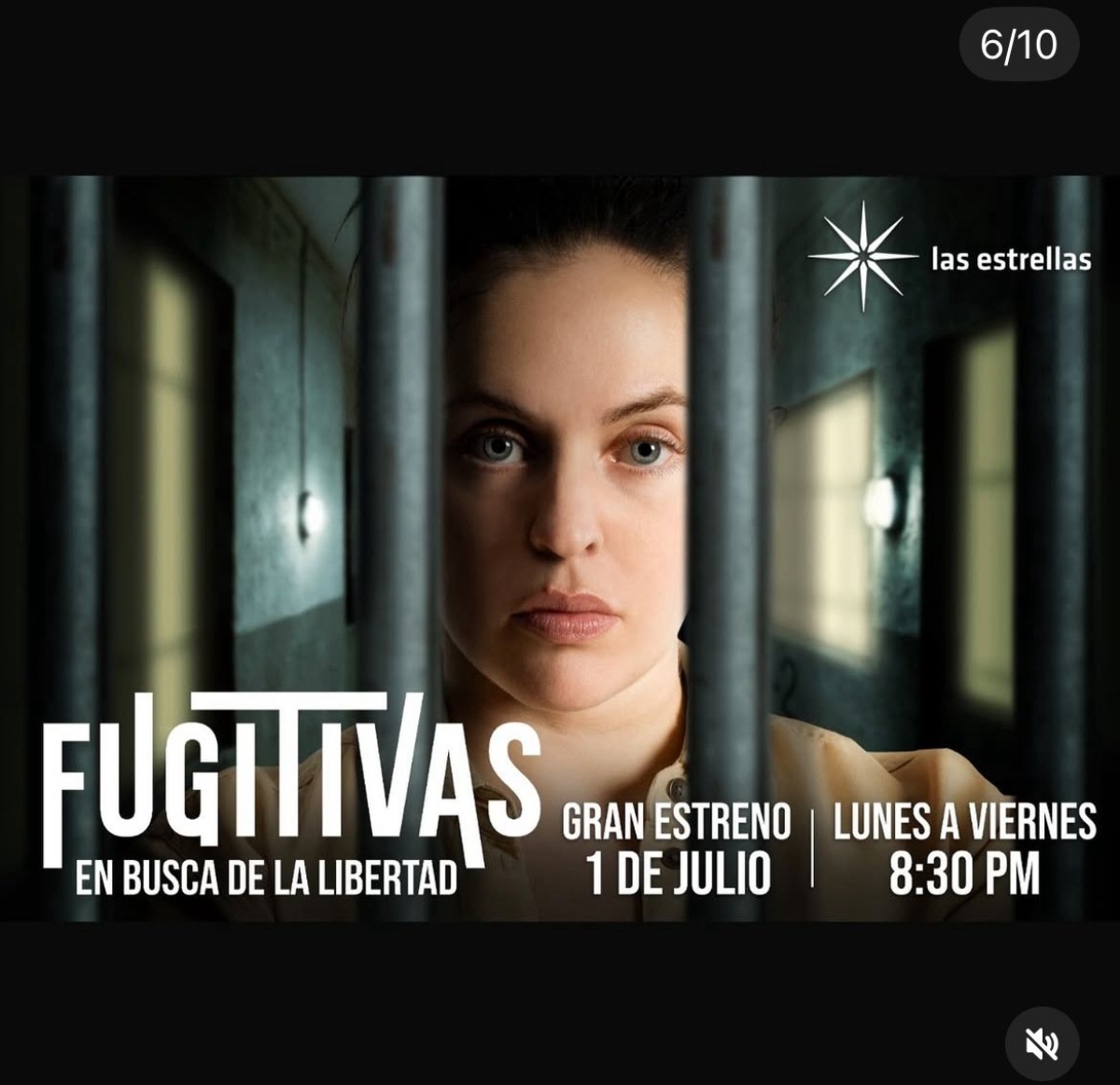 famosos, televisión, telenovelas