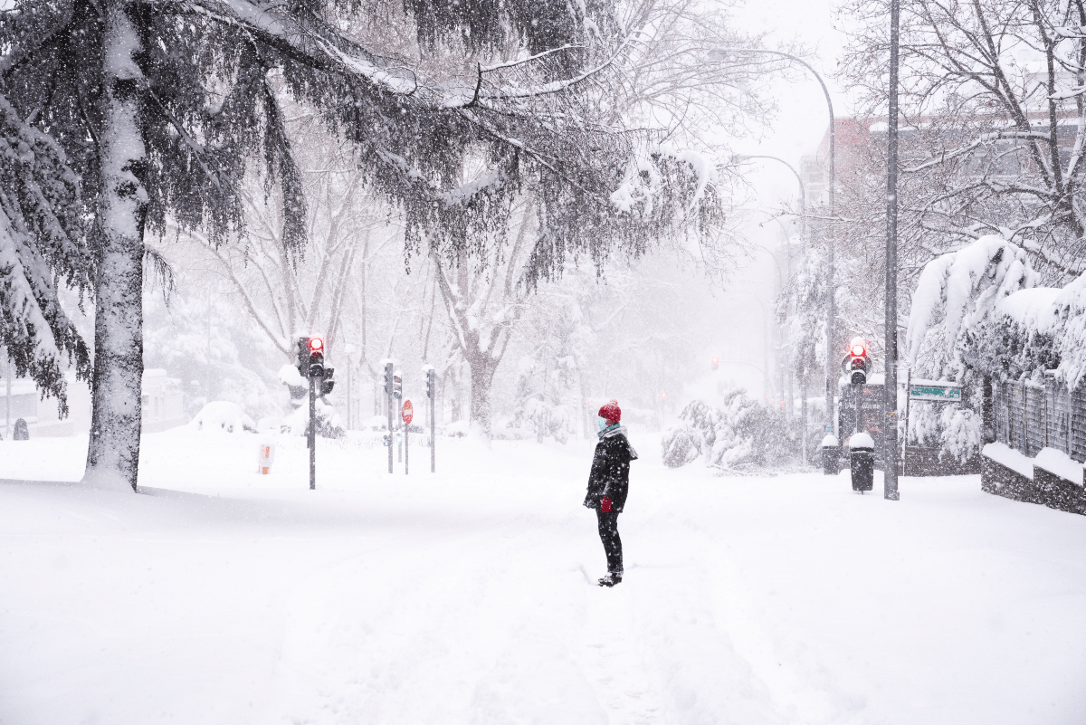 nieve