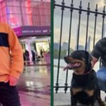 Ismael Flores Henríquez, trabajador hispano muere en NY, New York, QuéOnnda