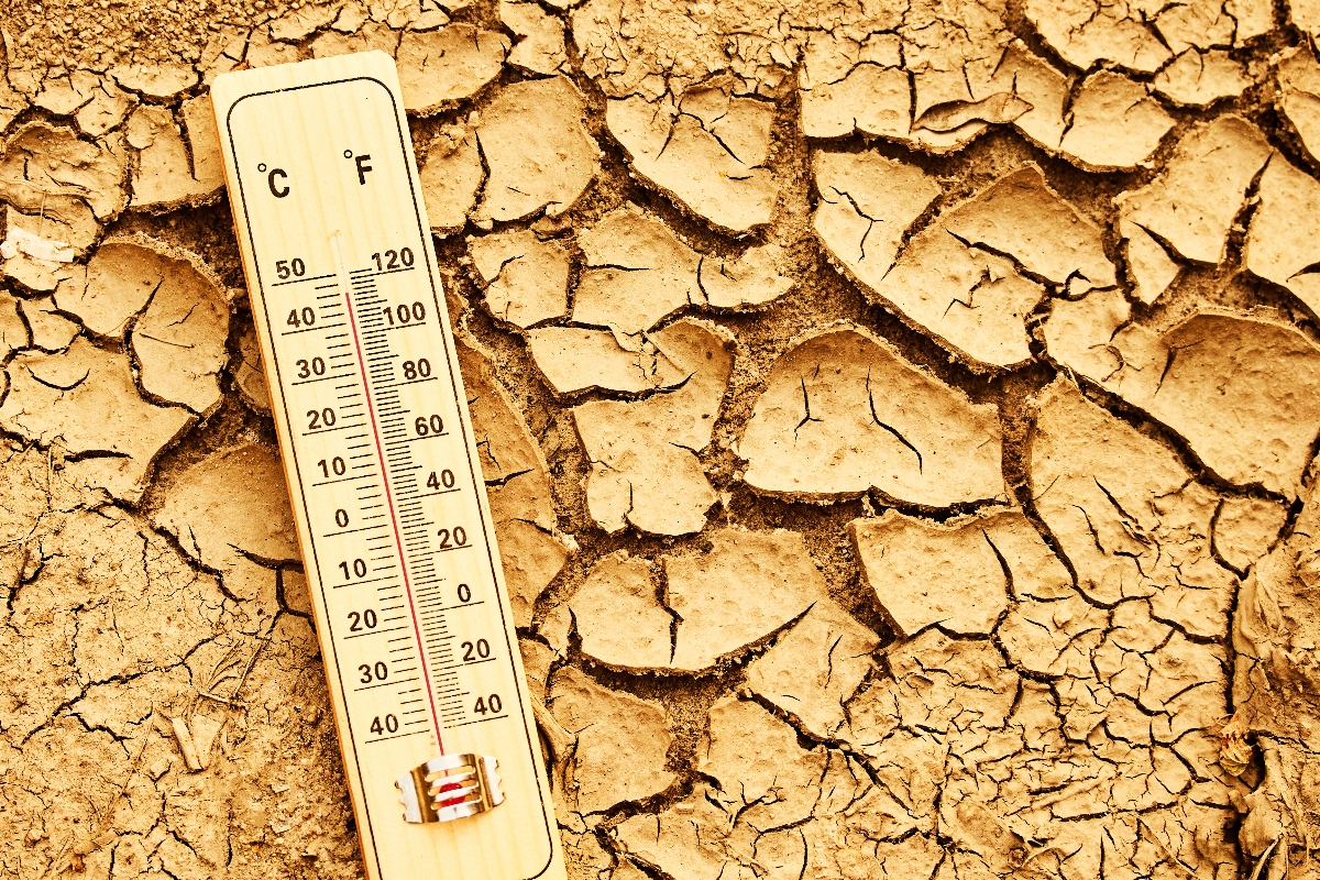 termómetro, tierra seca y agrietada, sequía, Locales, QuéOnnda
