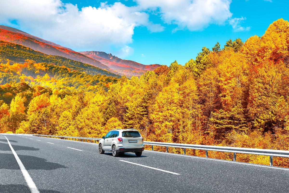 highway, safety driving road