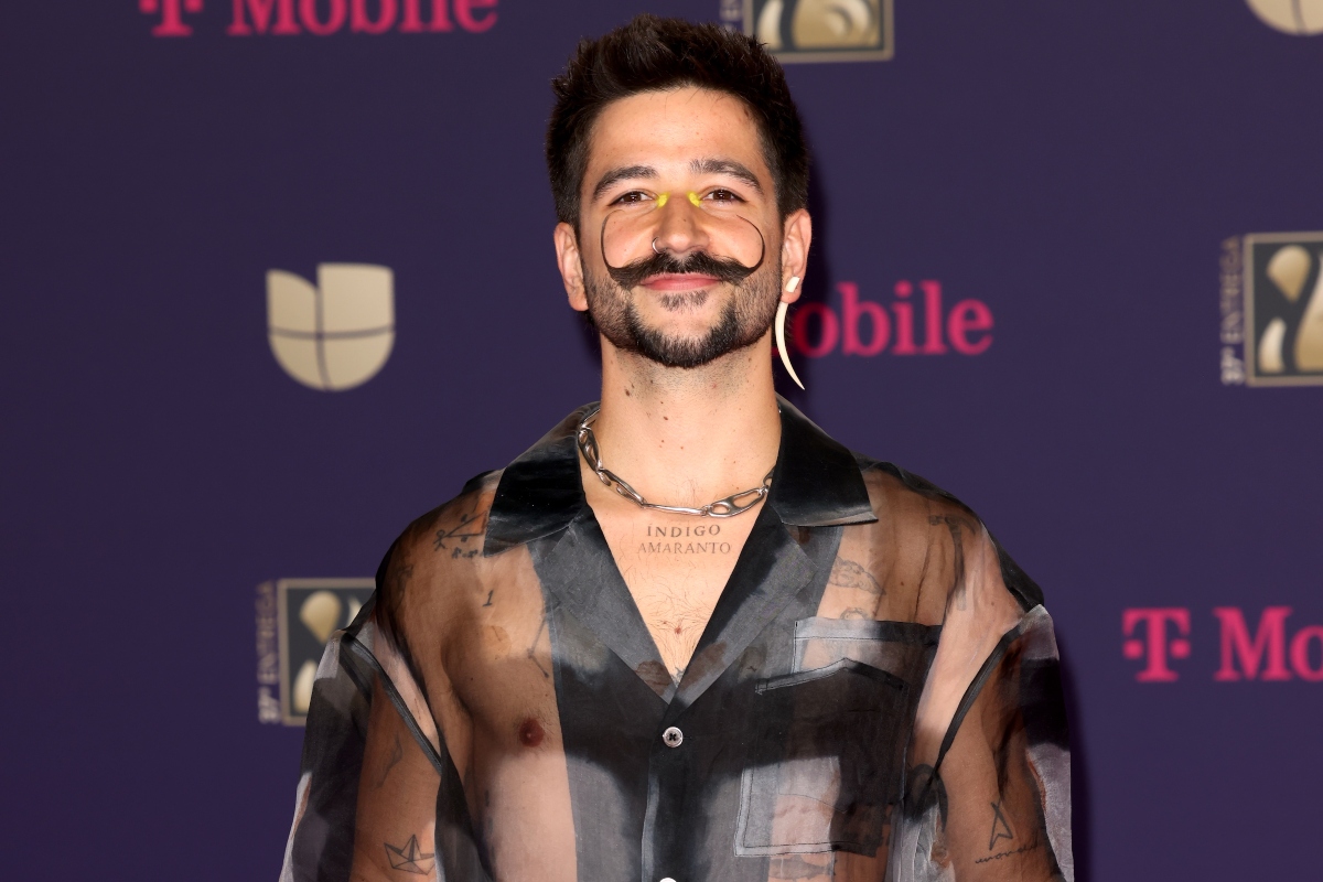 Camilo, espectáculos, música
