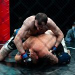 Artes Marciales Mixtas