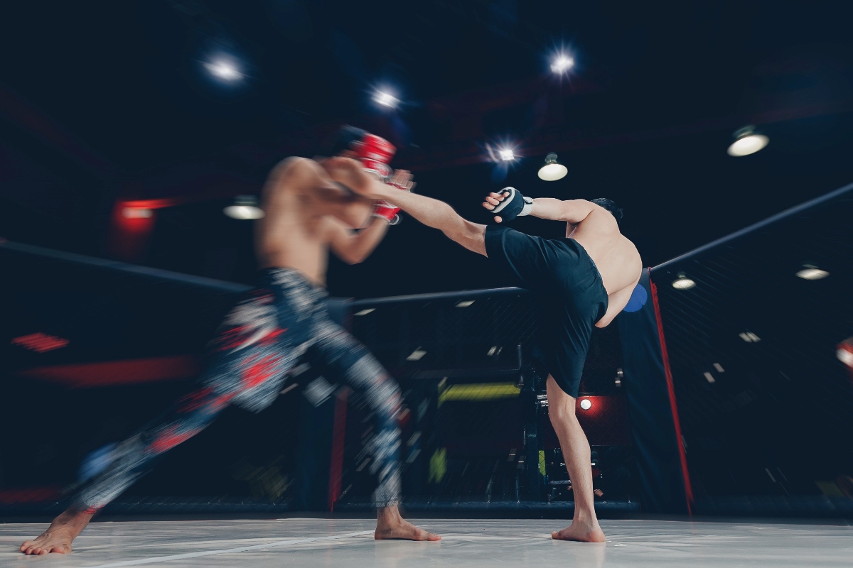 Artes Marciales Mixtas