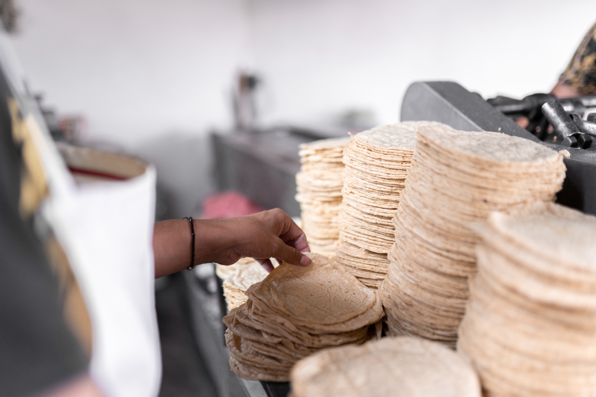 tortillas, comida, nutrición