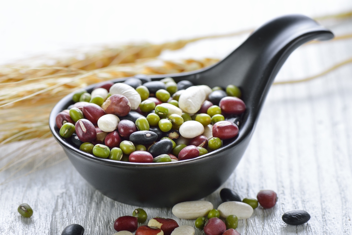 alimentos latinos