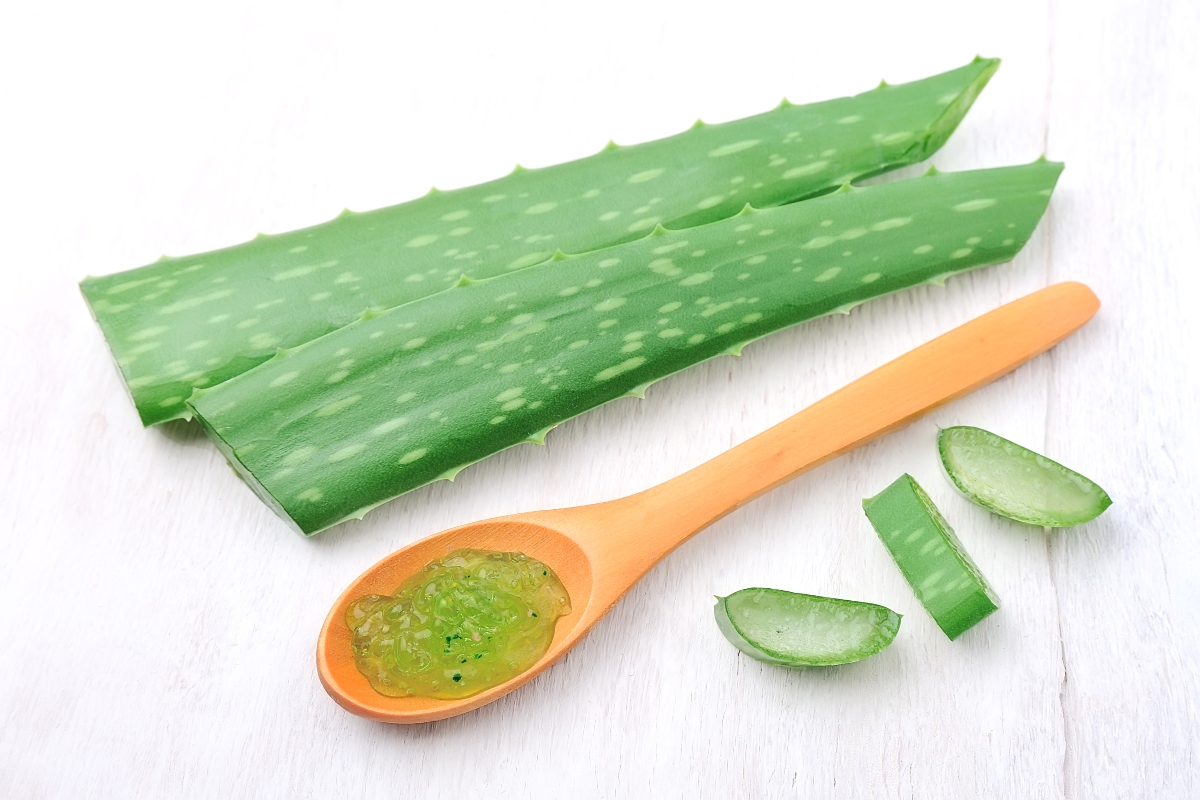 health, aloe vera, plant