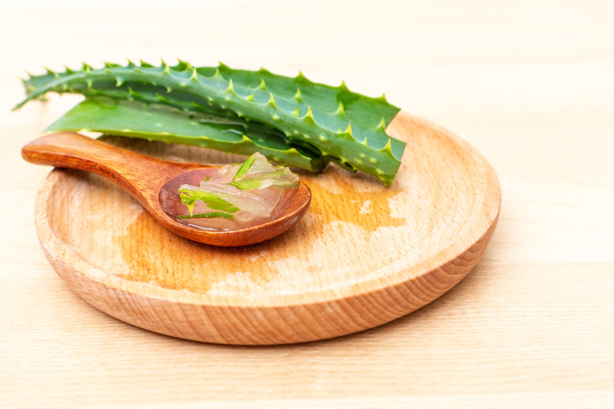 plant, herbal, health