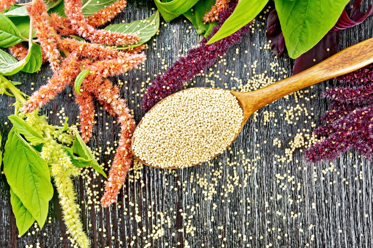 quinoa, grains, nutrition
