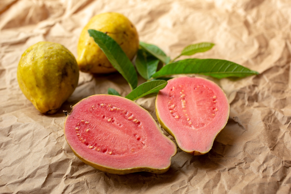 guava, seed, nutrition