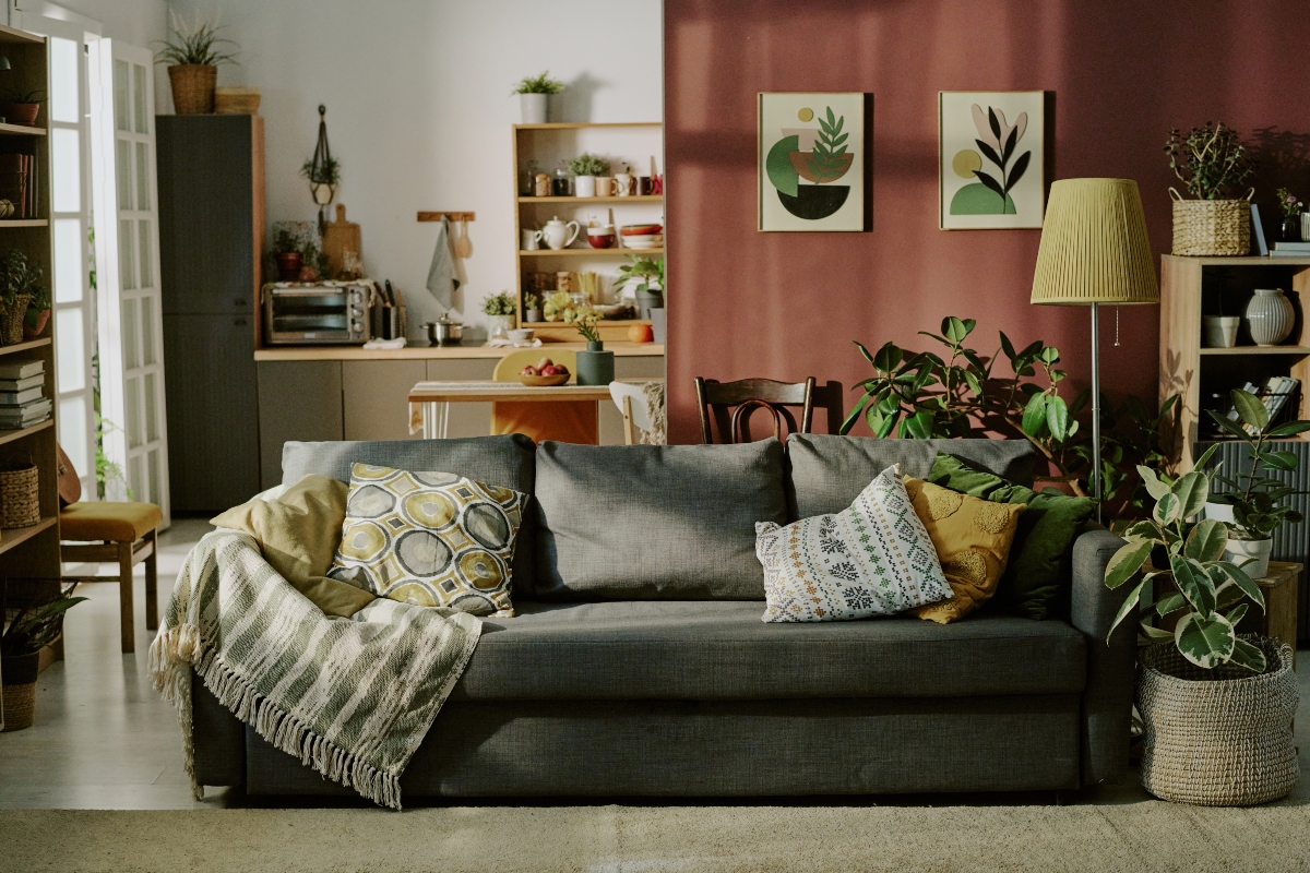 planta, comodidad, decoración