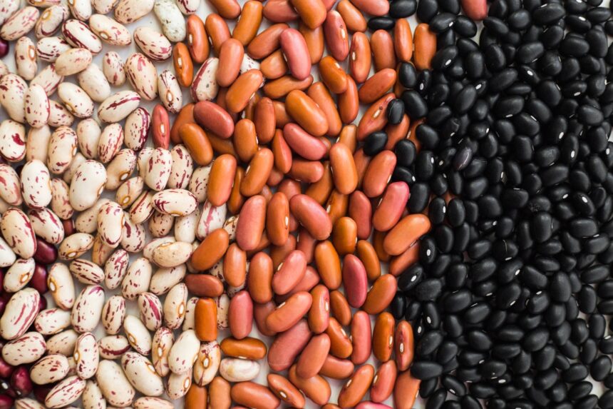 frijoles, alimentación, nutrición