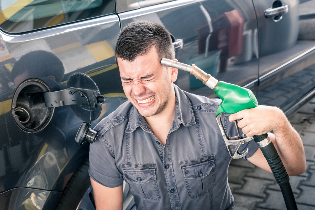 híbrido o gasolina