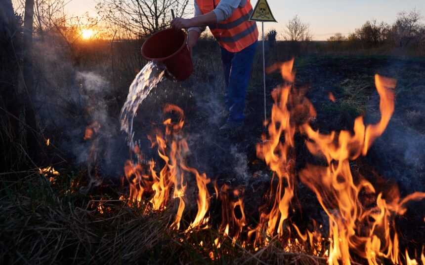 alarma costa oeste incendios, costa oeste, incendios, California, QuéOnnda