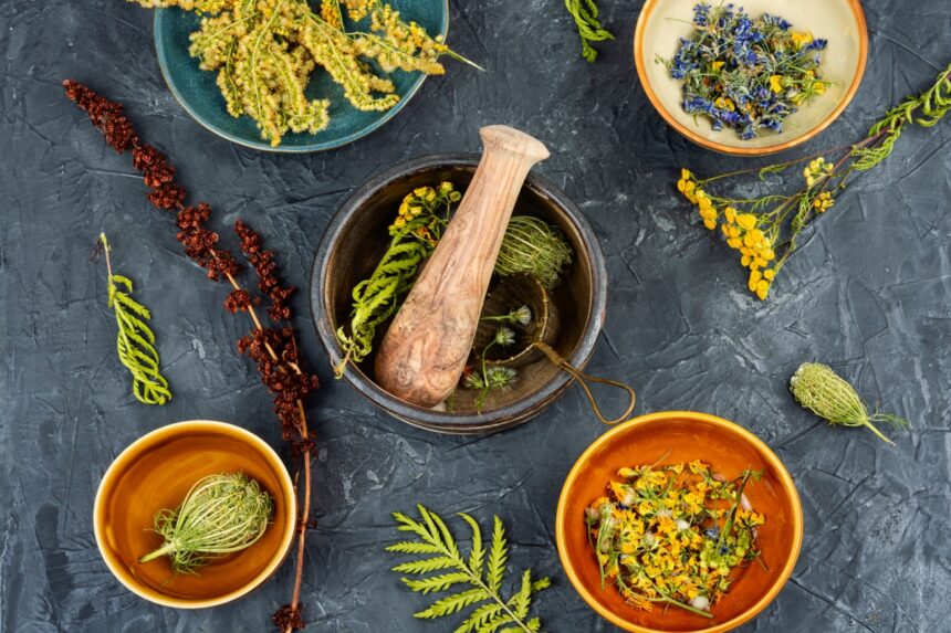 salud, planta, medicinal