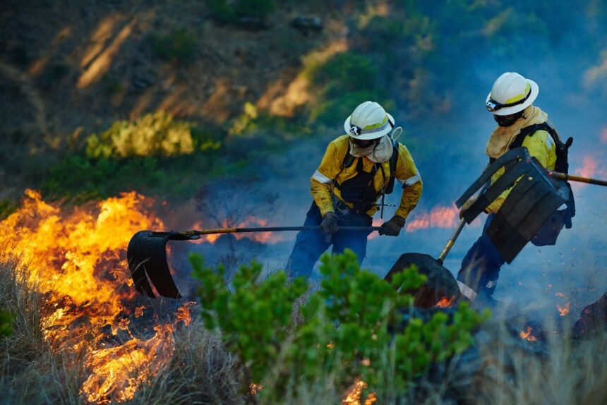 plantas resistentes al fuego, plantas contra incendios, plantas, incendios, QuéOnnda