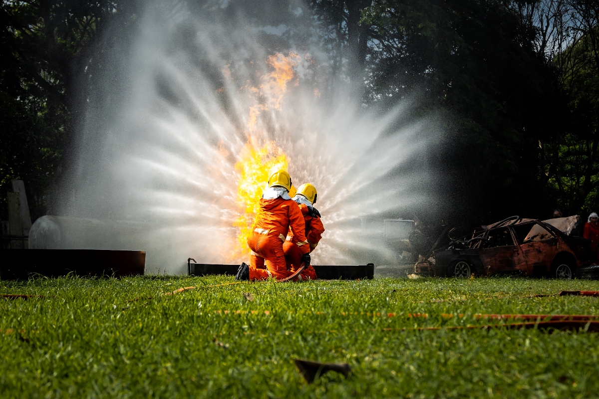fire resistant plants