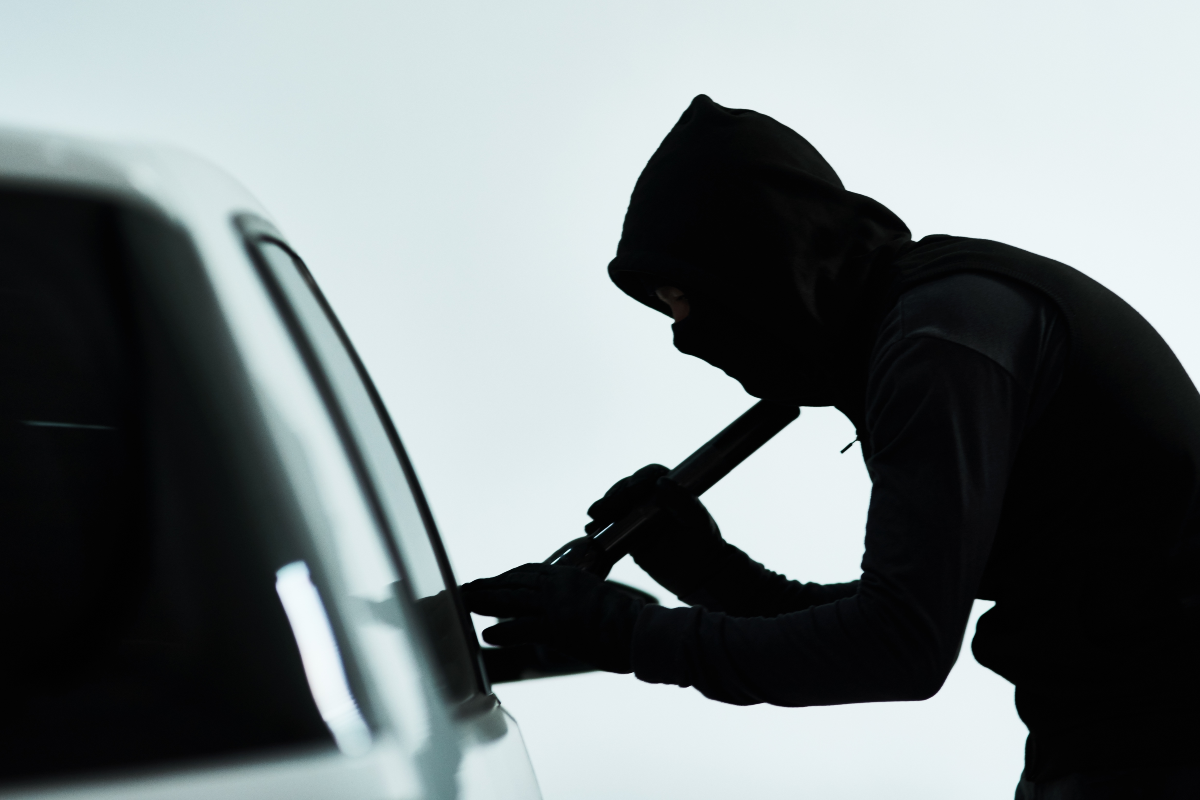 violencia, seguridad, crimen, delito