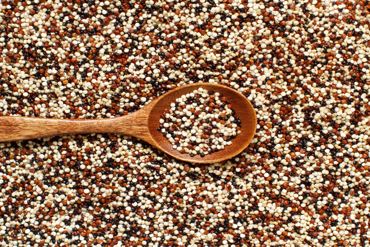 quinoa