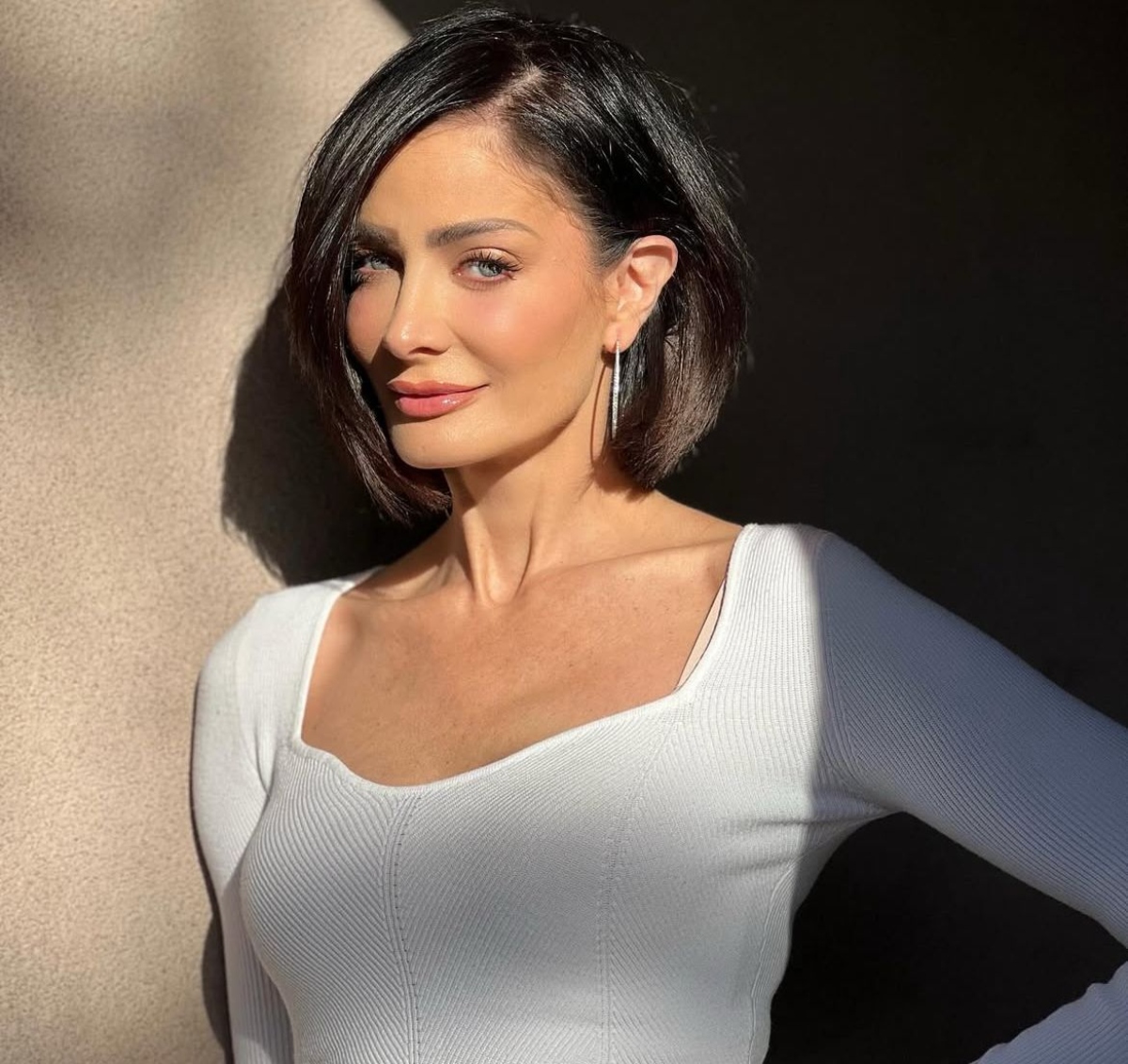 Dayanara Torres, celebridades, televisión