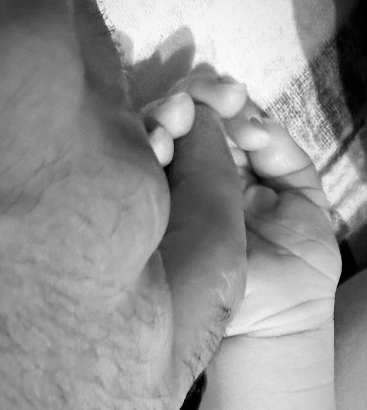 televisión, bebé, nacimiento