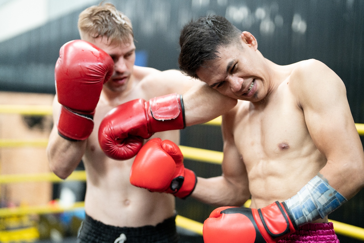 boxeo MMA