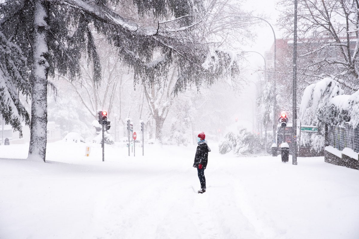 nieve