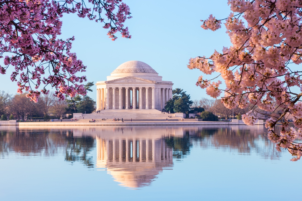 Park, DC, cherry trees