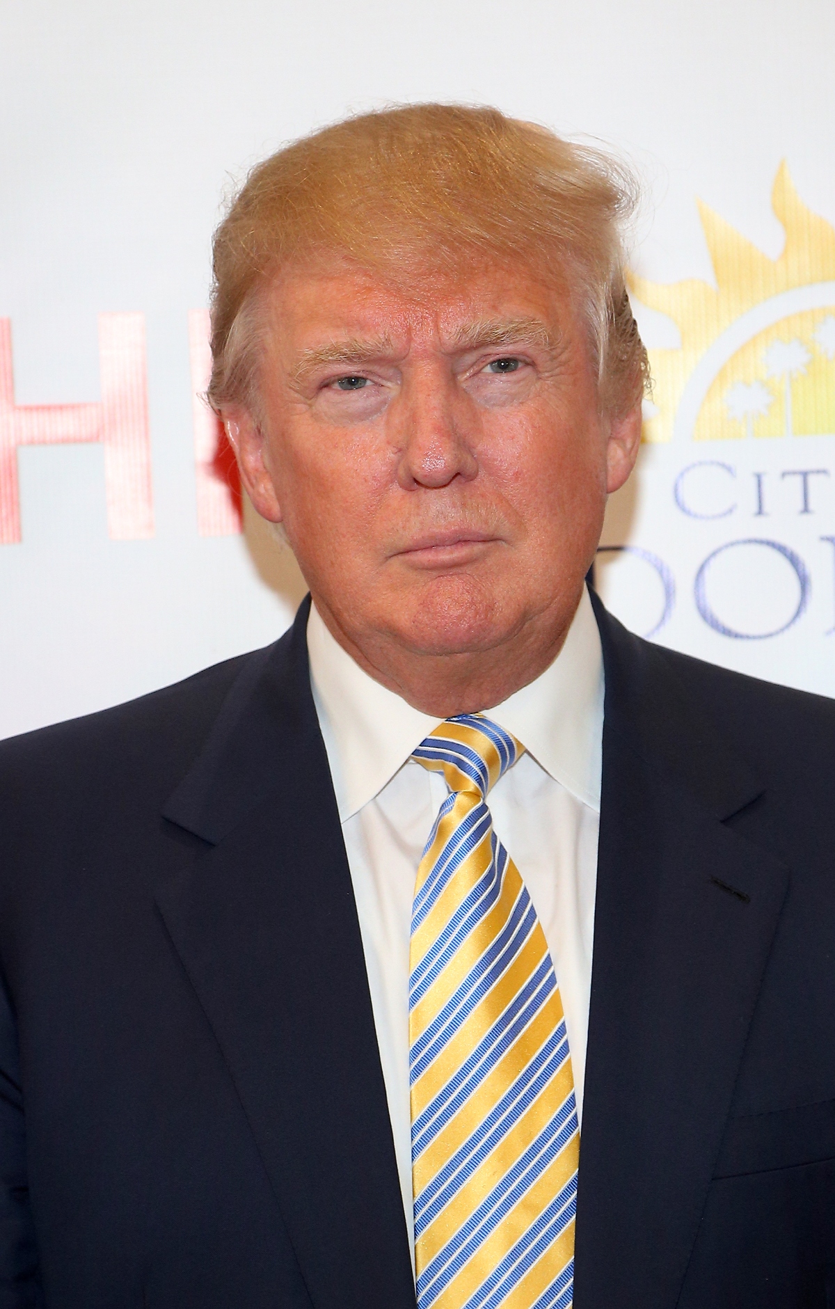 Donald Trump portrait