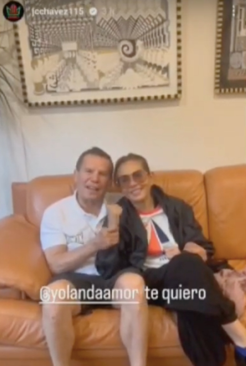 Yolanda Andrade, shows