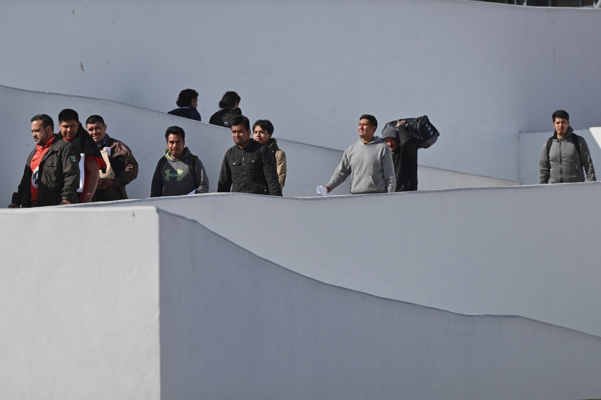 politics, immigration, detainees