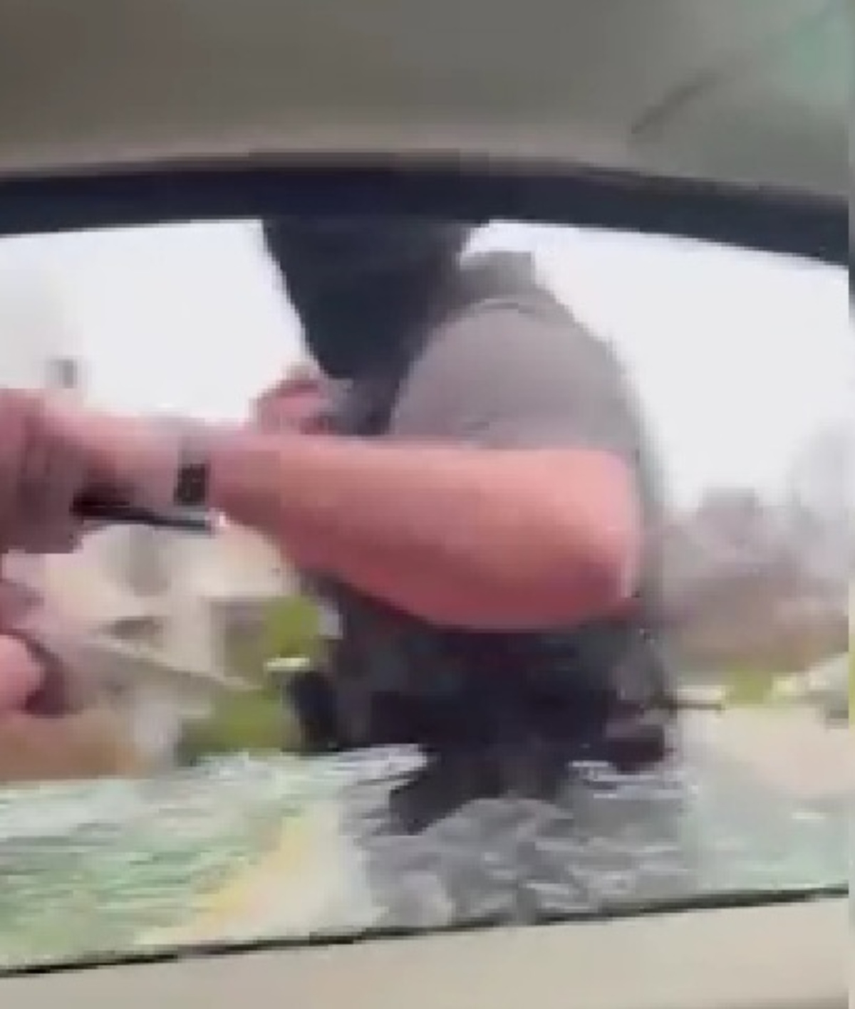ICE arrest