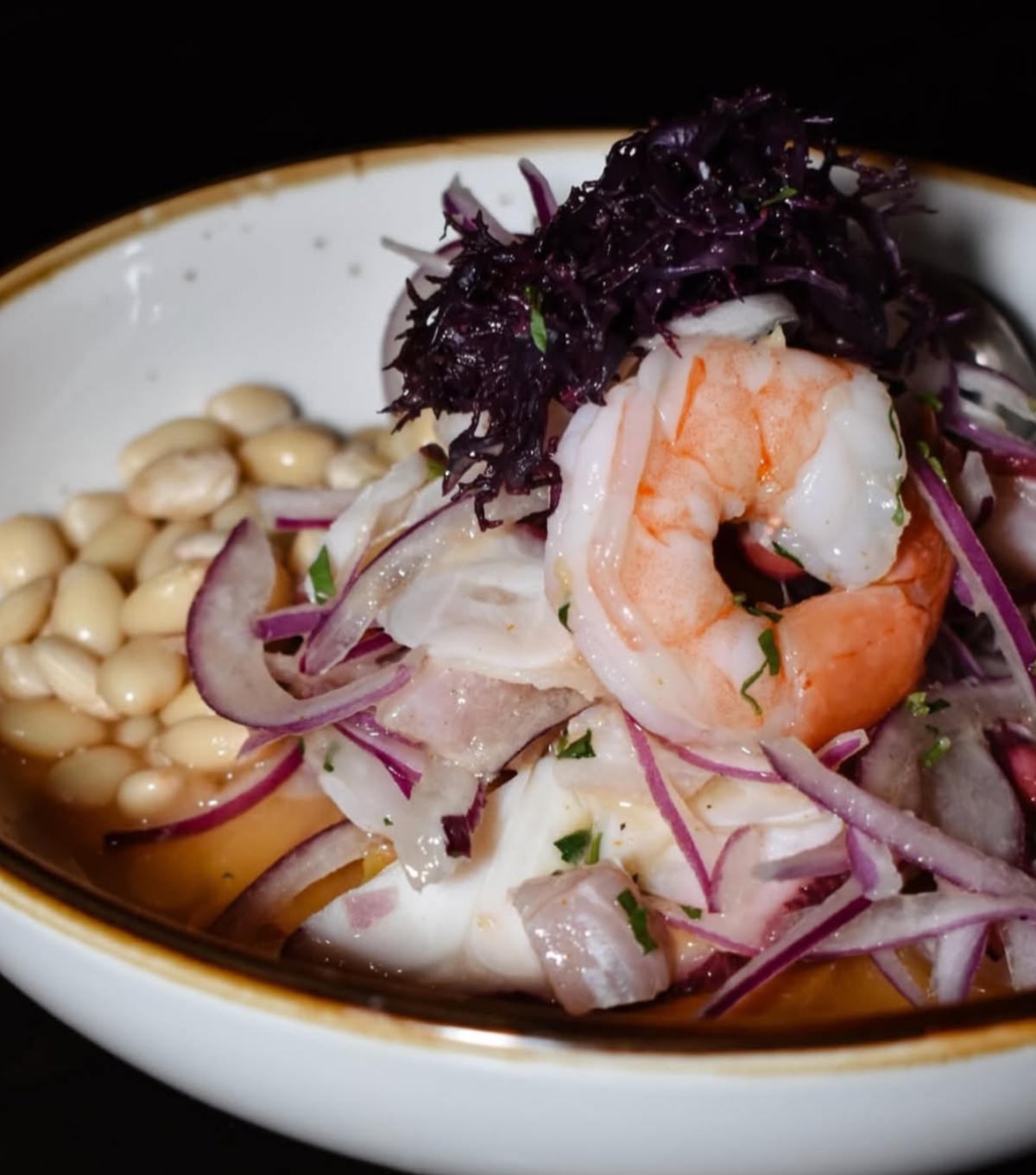 latin restaurants in Boston, Boston, Tambo 22, restaurants, QuéOnnda