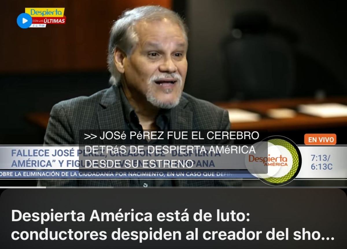Despierta América, television, celebrities