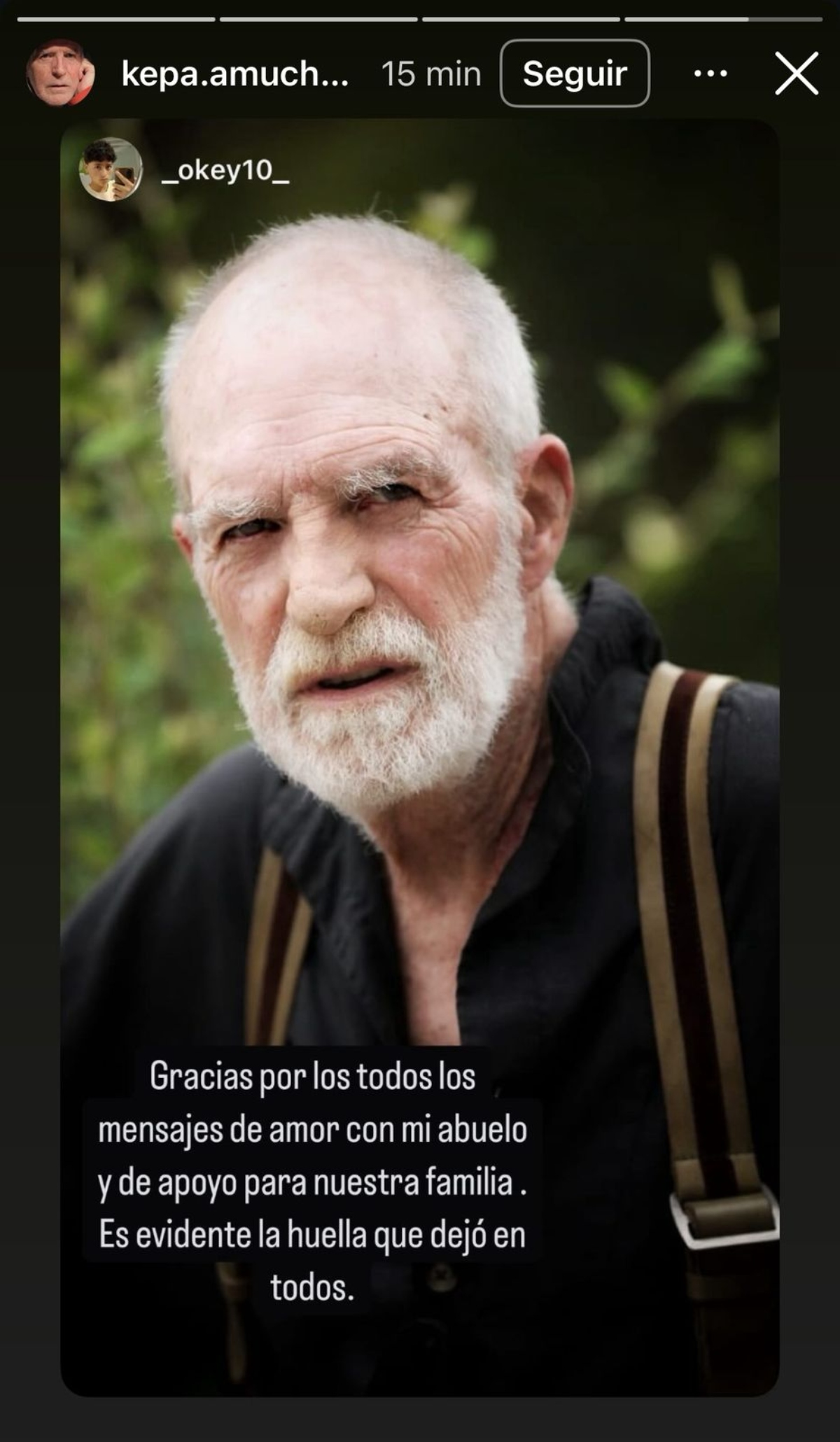 Kepa Amuchastegui, televisión, telenovelas