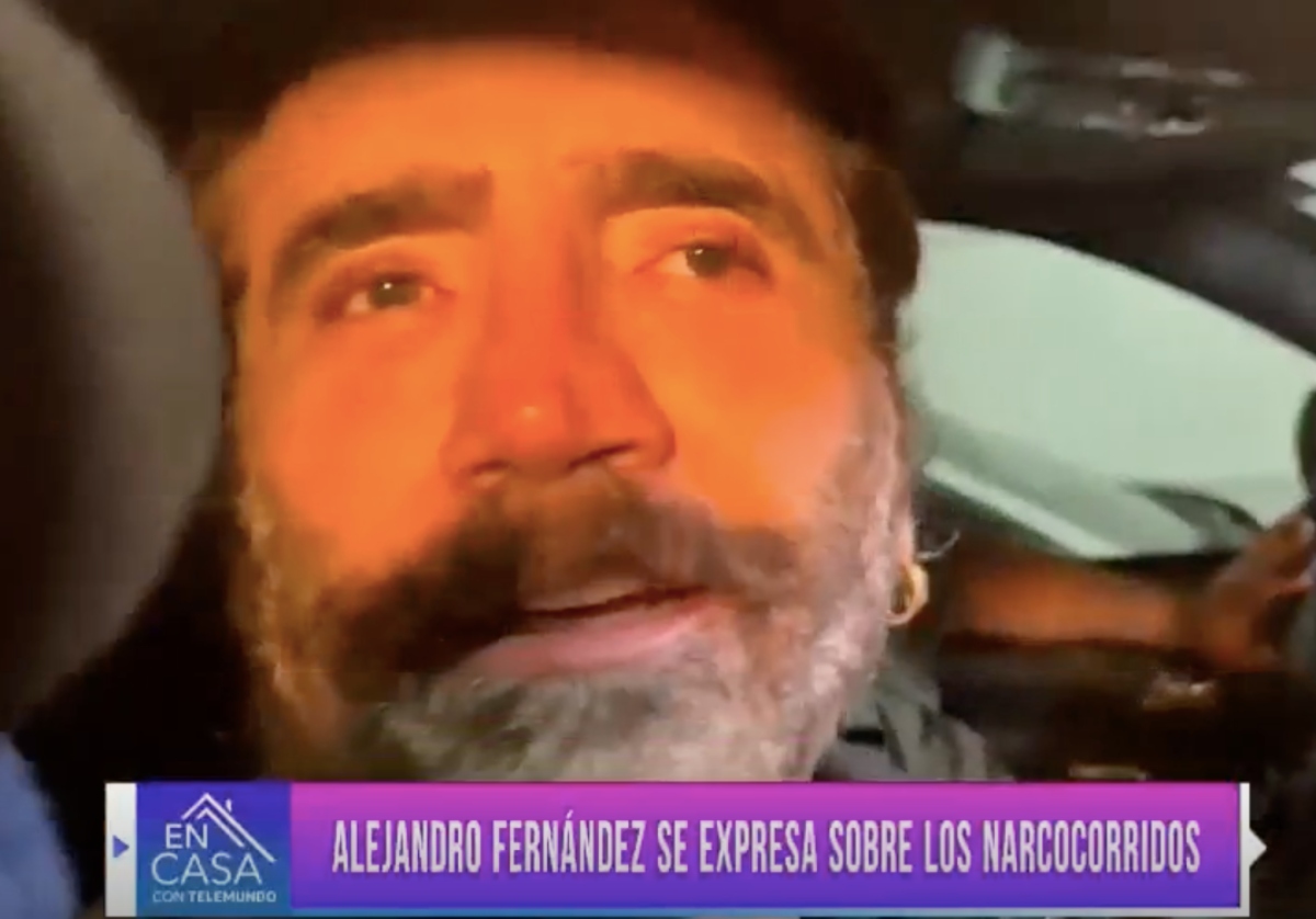 Alejandro Fernández, música