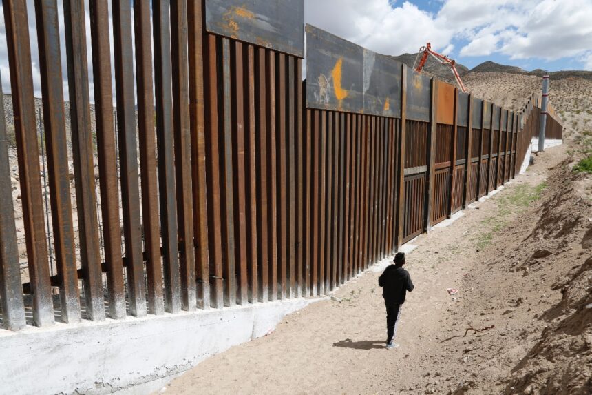 autodeportación voluntaria