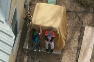 Niños armados Nuevo México, Niños armados, Nuevo México, Condado de Bernalillo, QuéOnnda