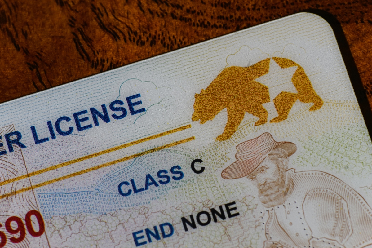 licencia, Estados Unidos, política