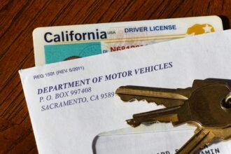 licencia, conducir, Estados Unidos, política