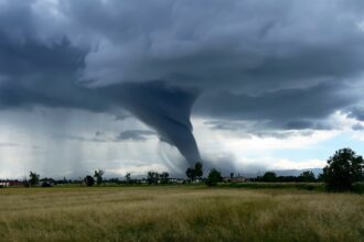 Tornado, Kentucky, desastre