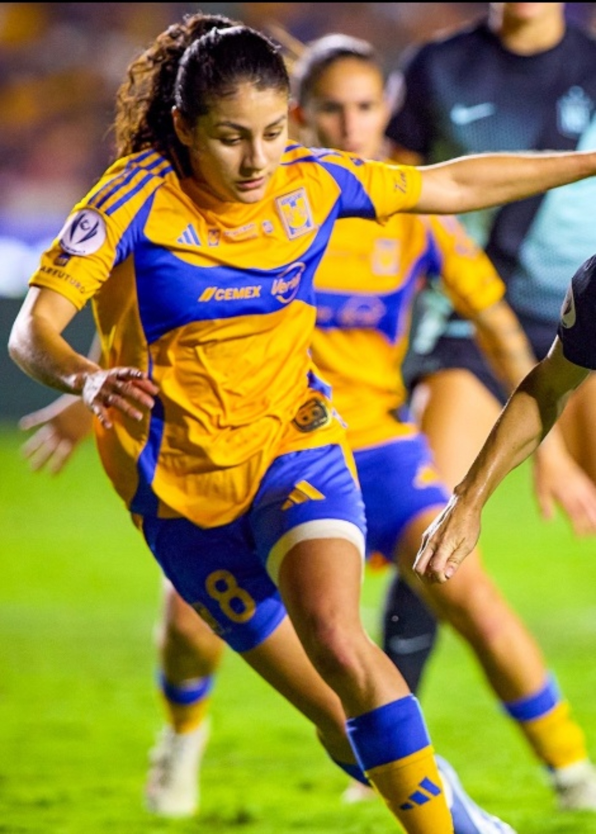 Tigres Femenil