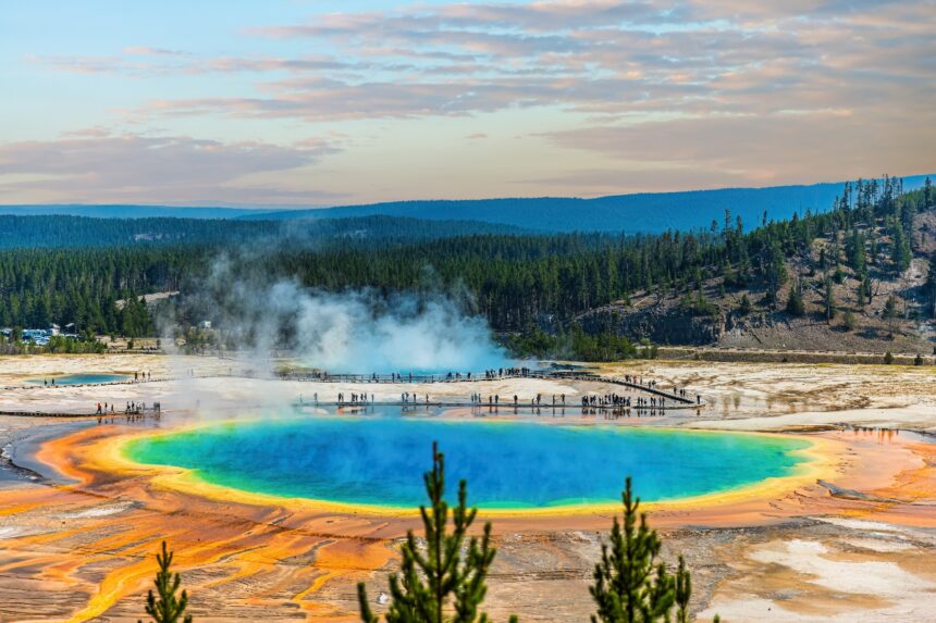 Yellowstone