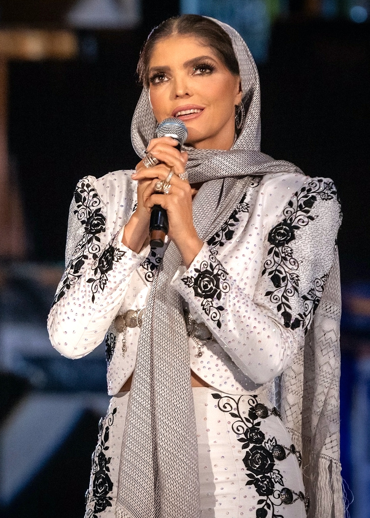 Ana Bárbara, music, television