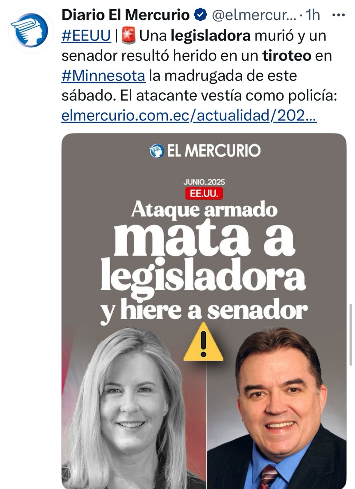 Melissa Hortman, asesinato