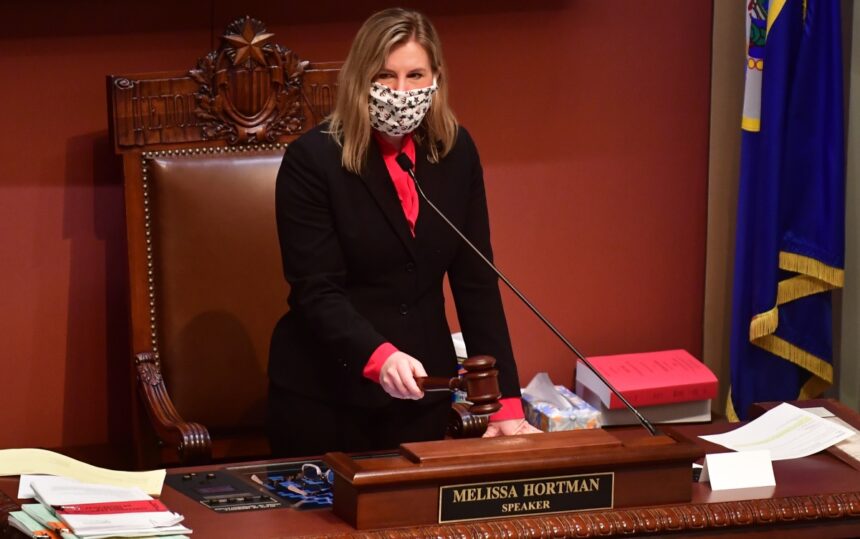 Melissa Hortman, legisladora, política