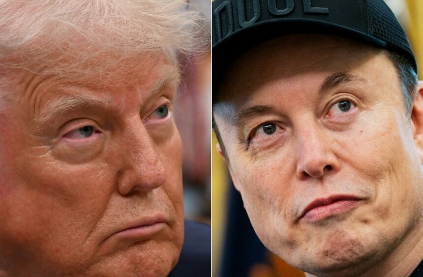 Elon Musk, Trump, exasesor