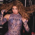 Shakira, cabello, productos